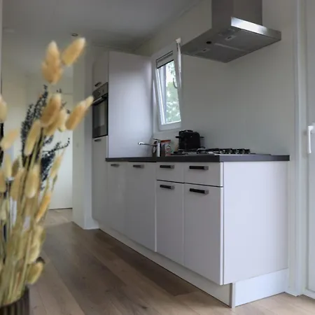 4-persoons Voortse Wellness Chalet *